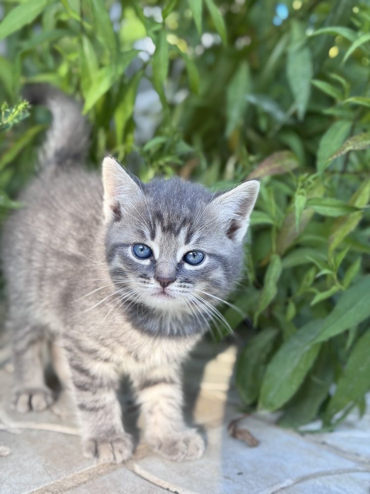 Photograph by Ольга Филатова