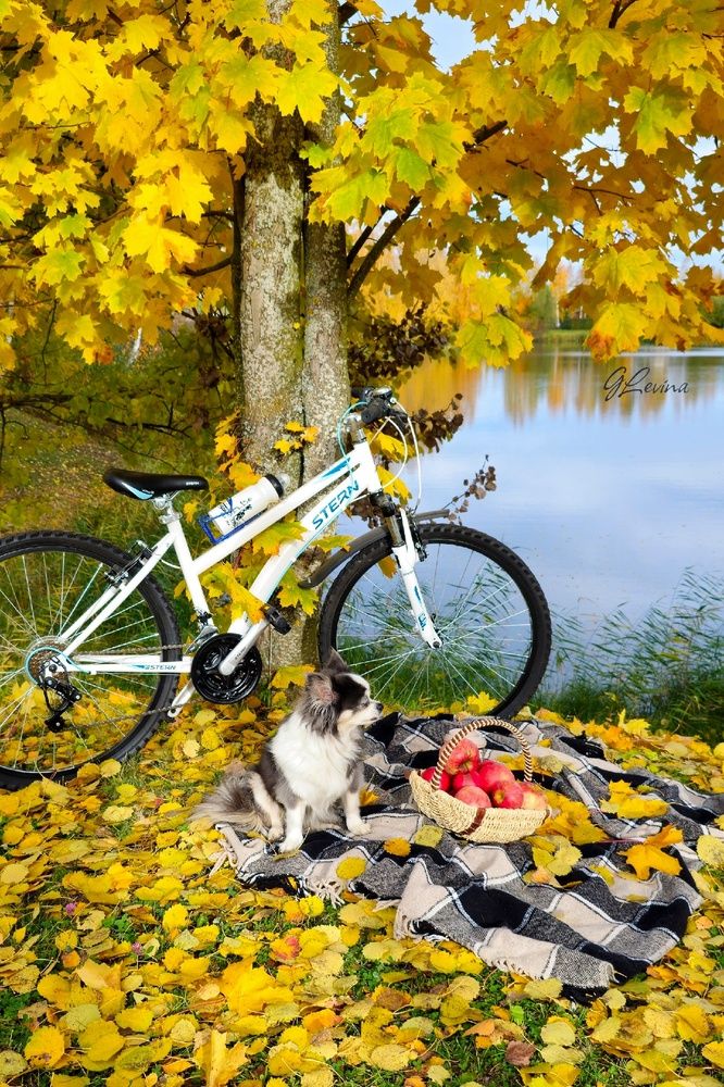 Photograph by Галина Левина