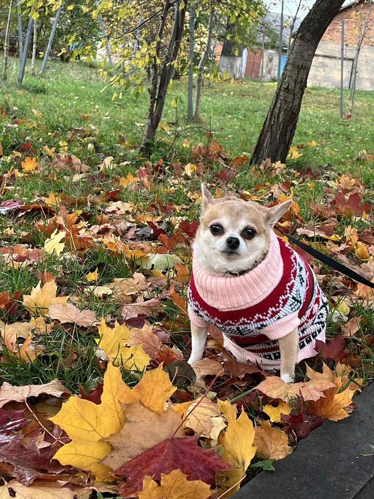 Photograph by Елизавета