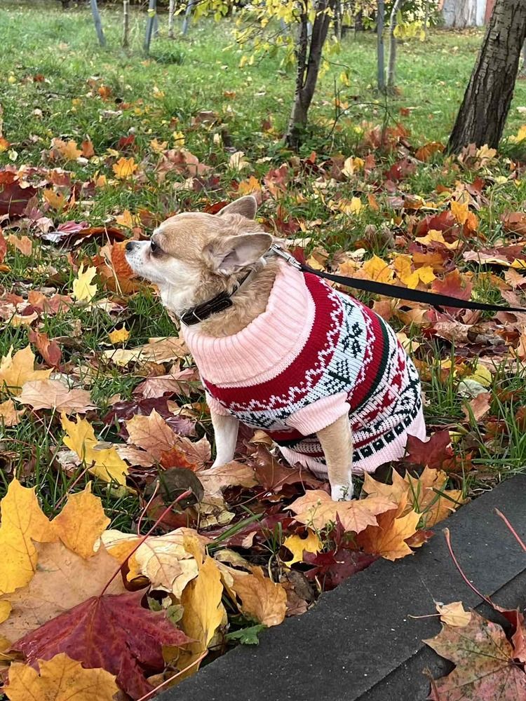 Photograph by Елизавета