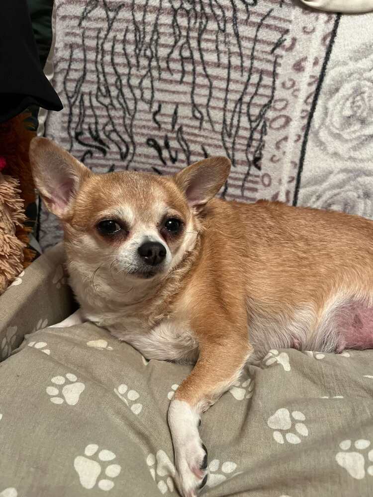 Photograph by Елизавета