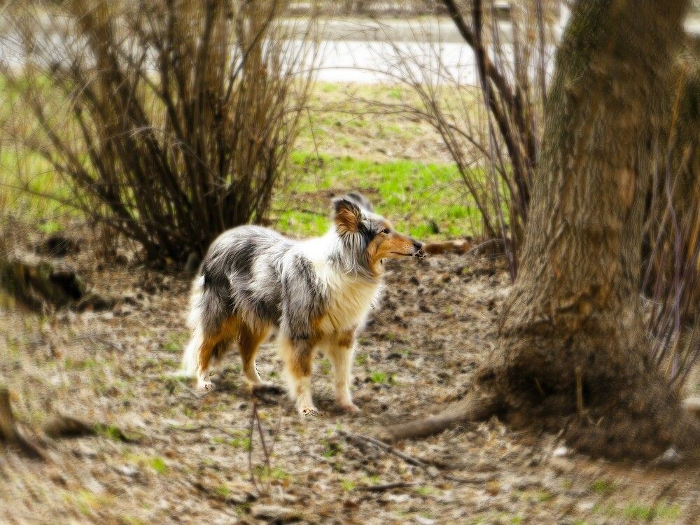 Весной пахнет