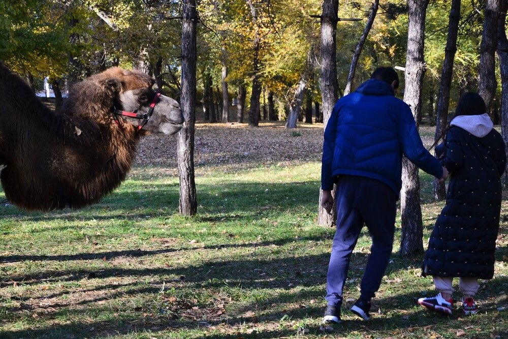 Аудиенция фсЁ )))