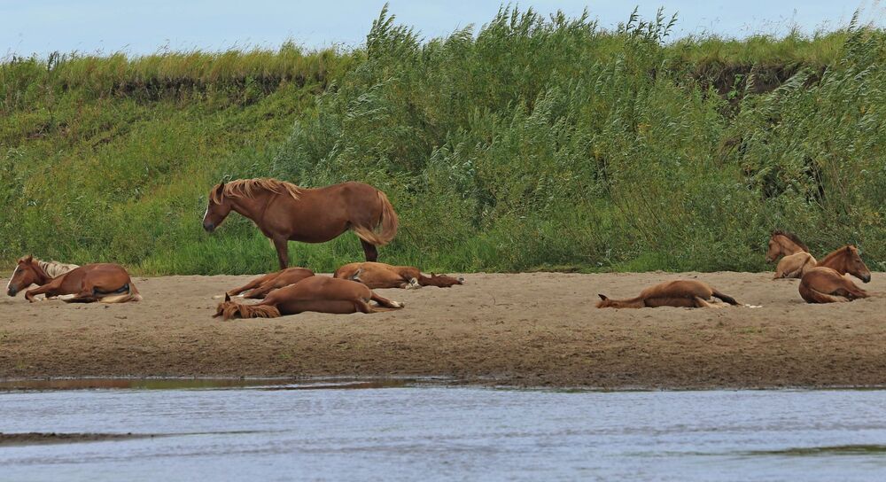 Фотография автора Юрий Кетель