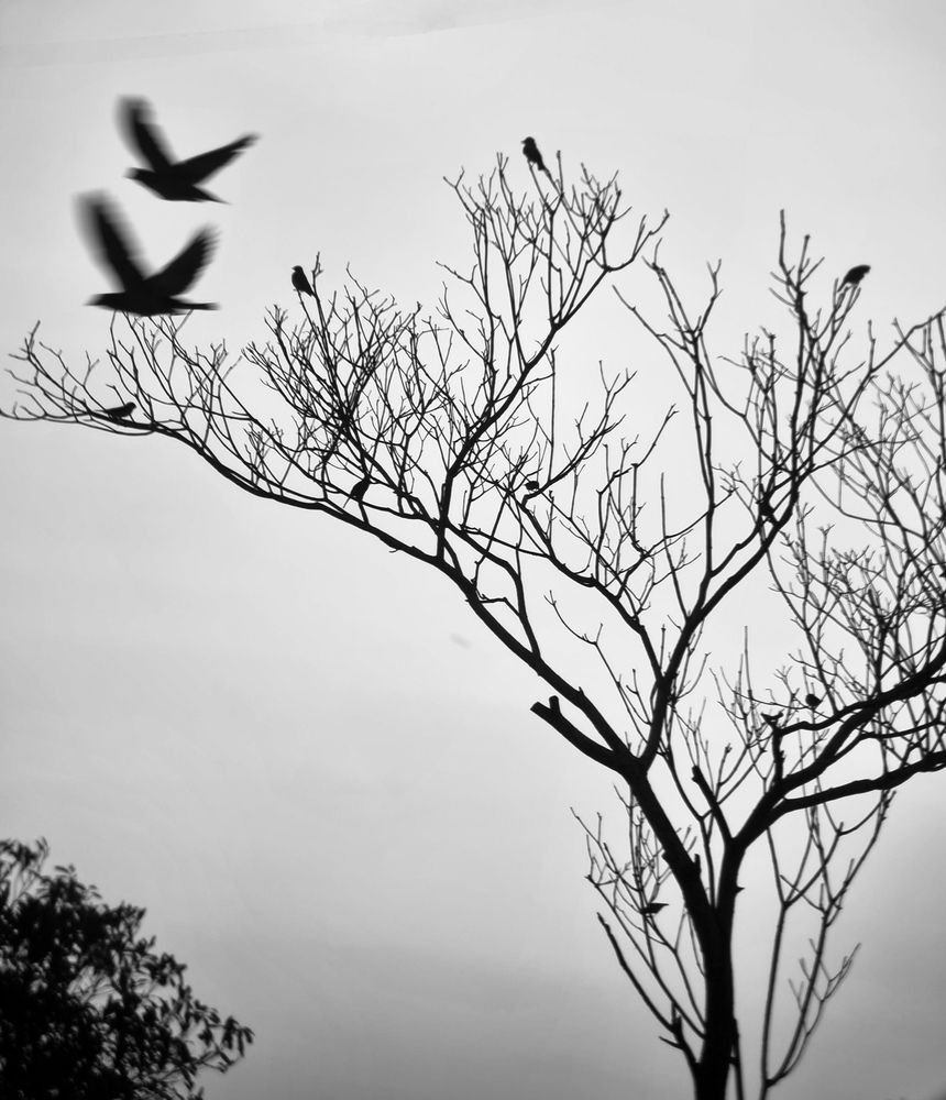 Фотография автора Walfrido Alexandre
