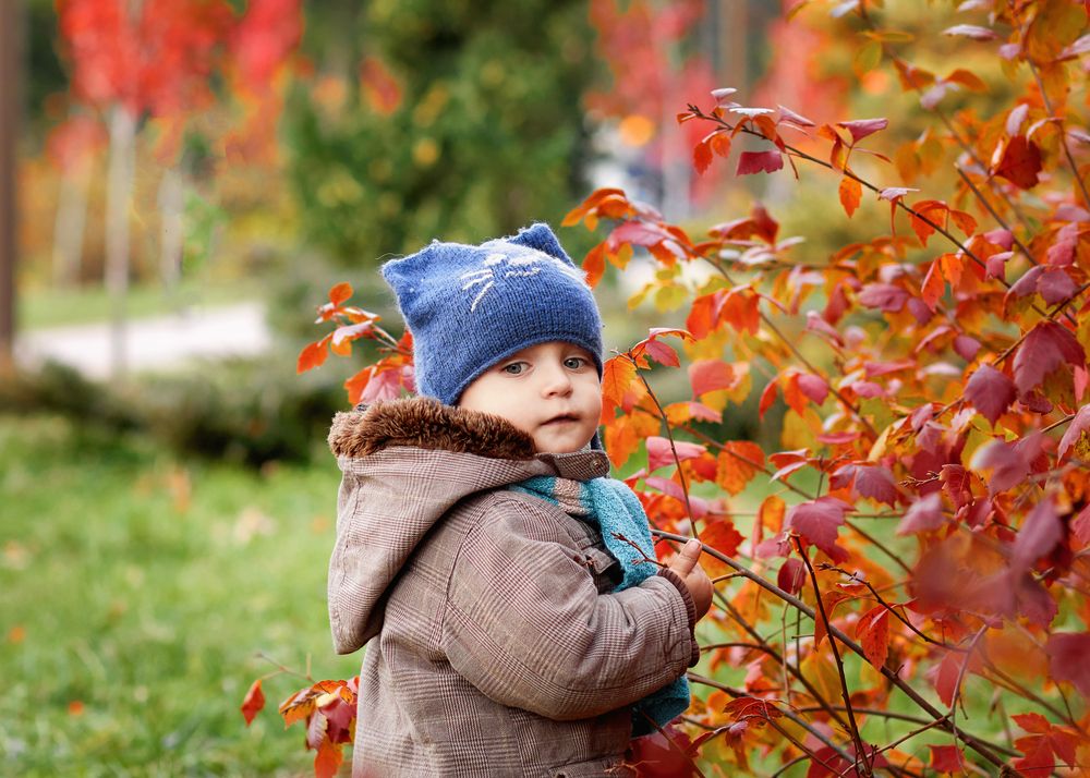 Фотография автора Chervonniy_Konstantin