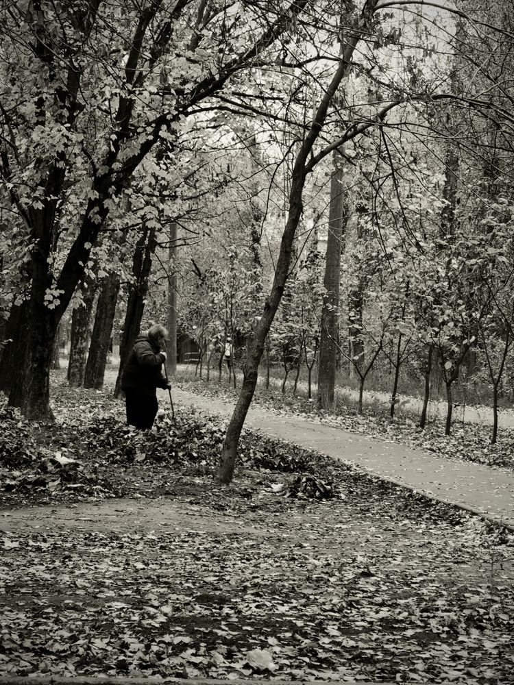 Photograph by Ирина Землячева