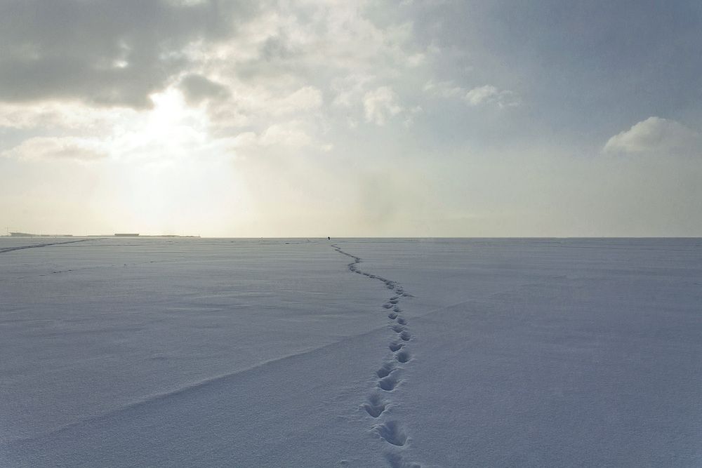 За горизонт...