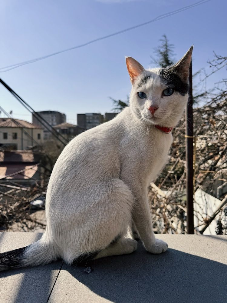 Photograph by Кристина Сидорова