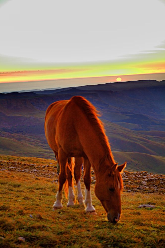Photograph by Наталья Бурименко