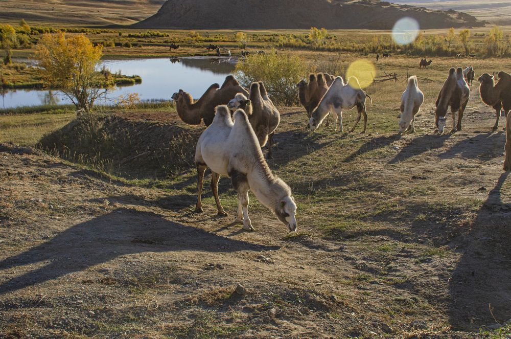 Photograph by Надежда Михайлина