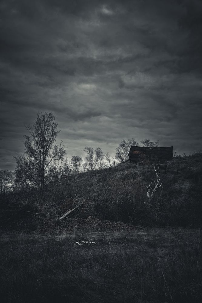 Photograph by Алексей Поликарпов
