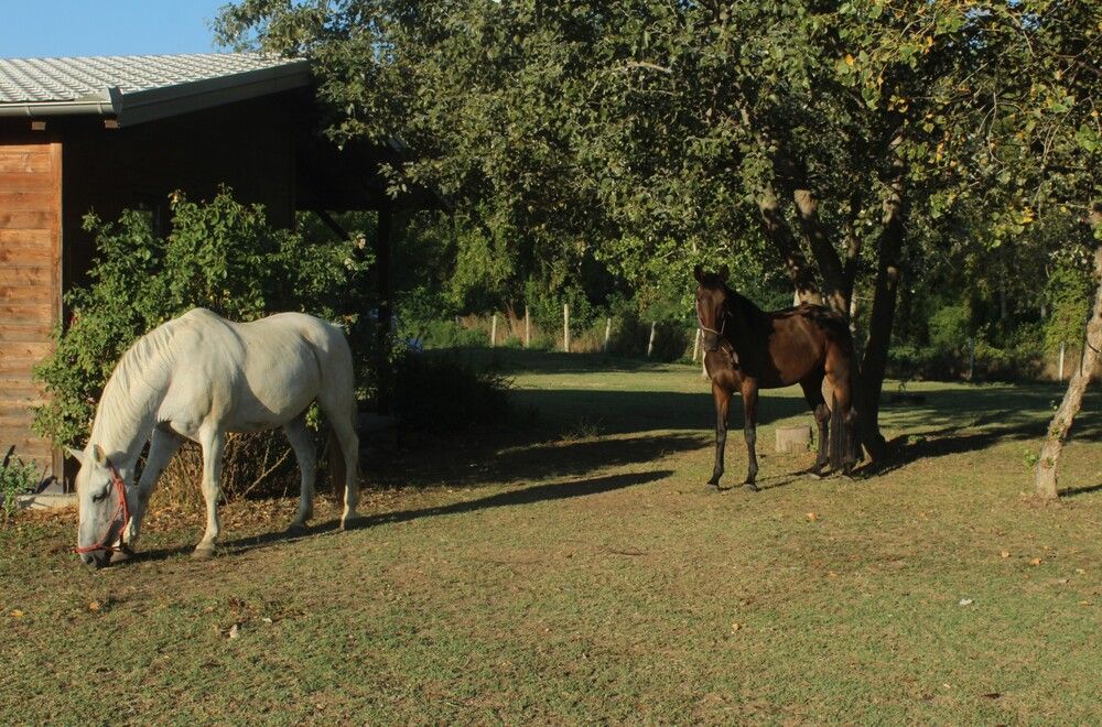 Photograph by Любовь Войводич