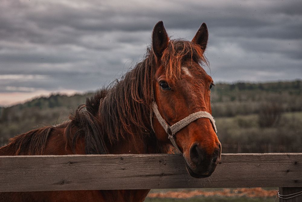 Photograph by Елена Титенская