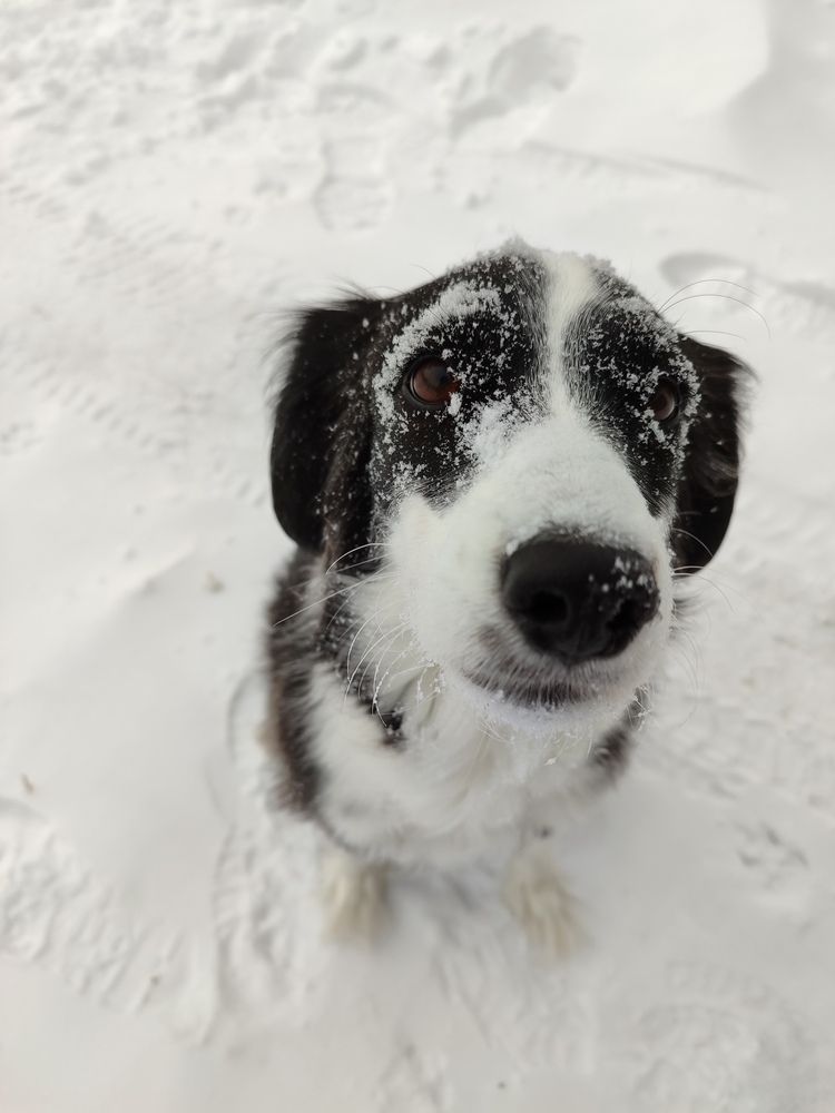 Photo #12793657