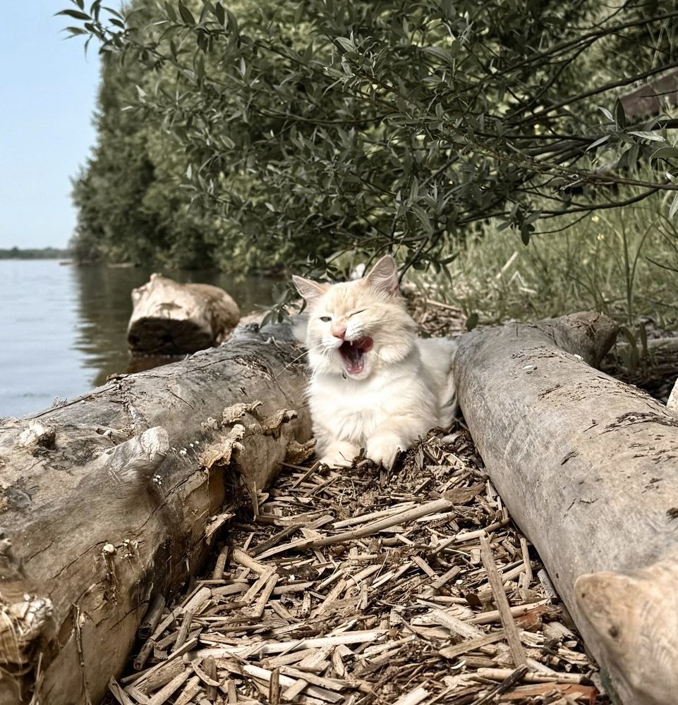 Photograph by Гуляева Светлана