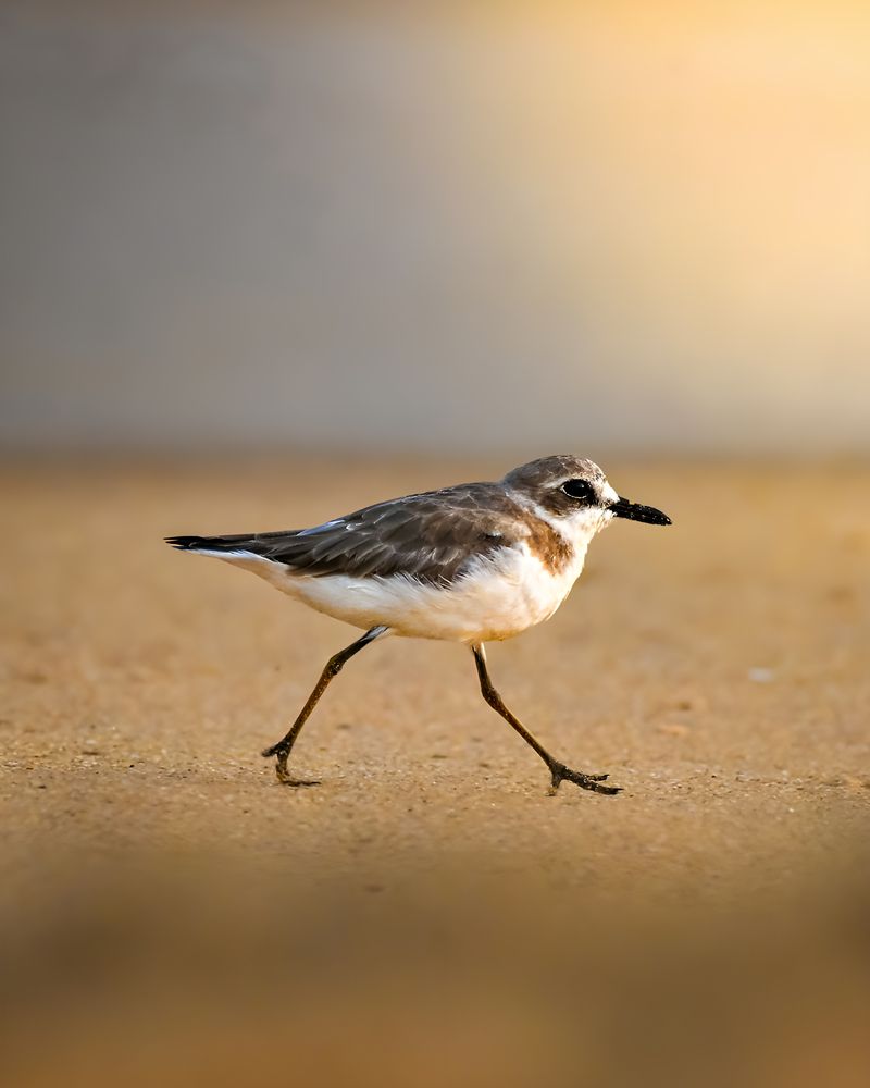 Photograph by Aaron R S