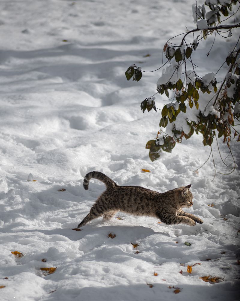 Photograph by Елена Константинова