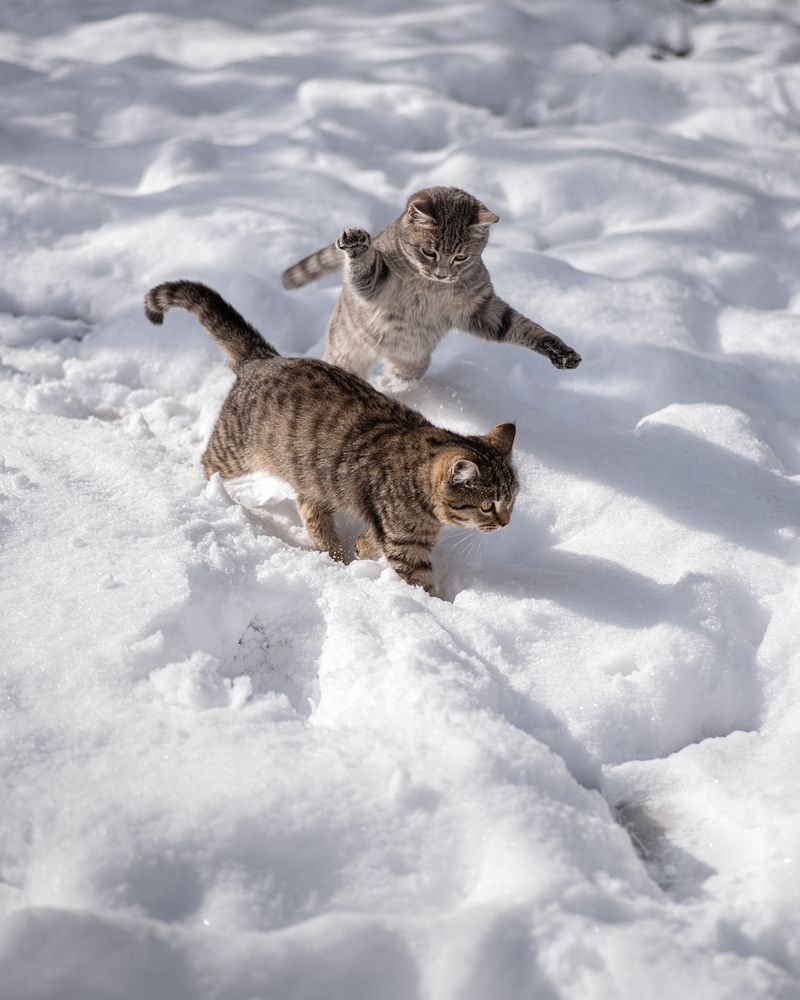 Photograph by Елена Константинова