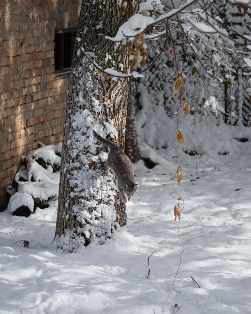 Photograph by Елена Константинова