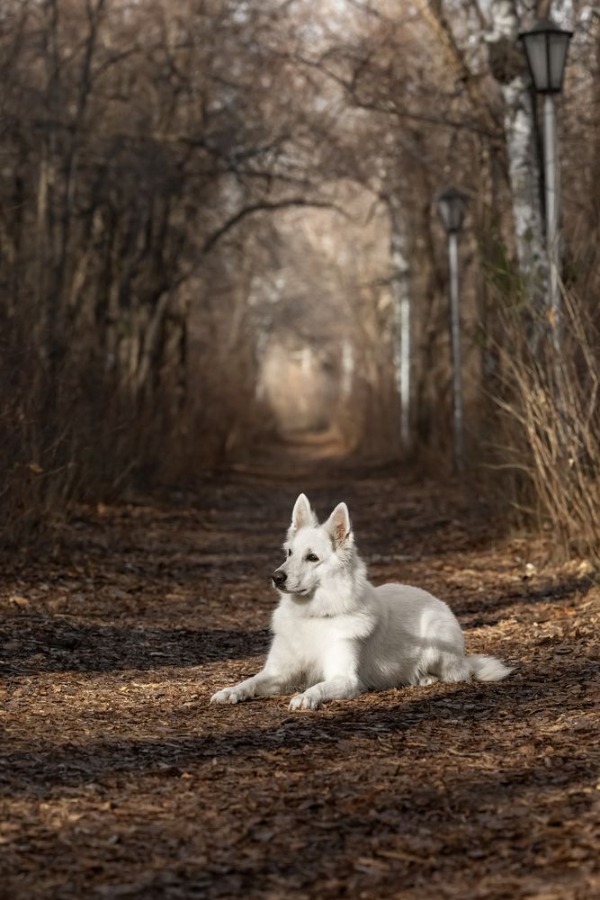 Photograph by Алина Дудорова