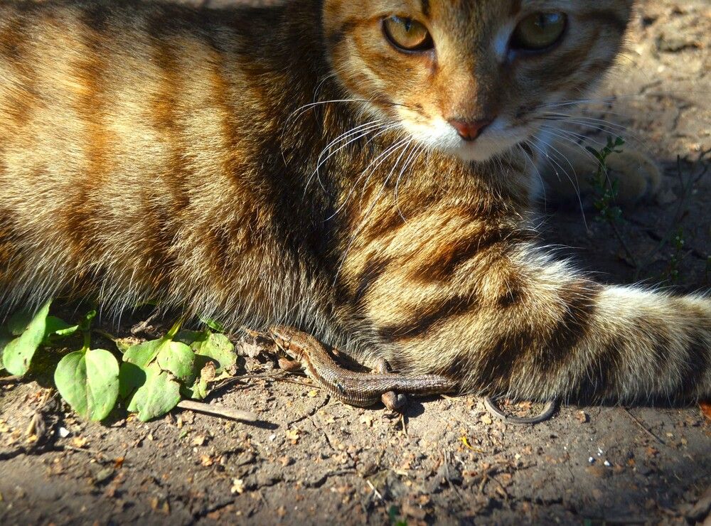 Photograph by Ирина Владимировна