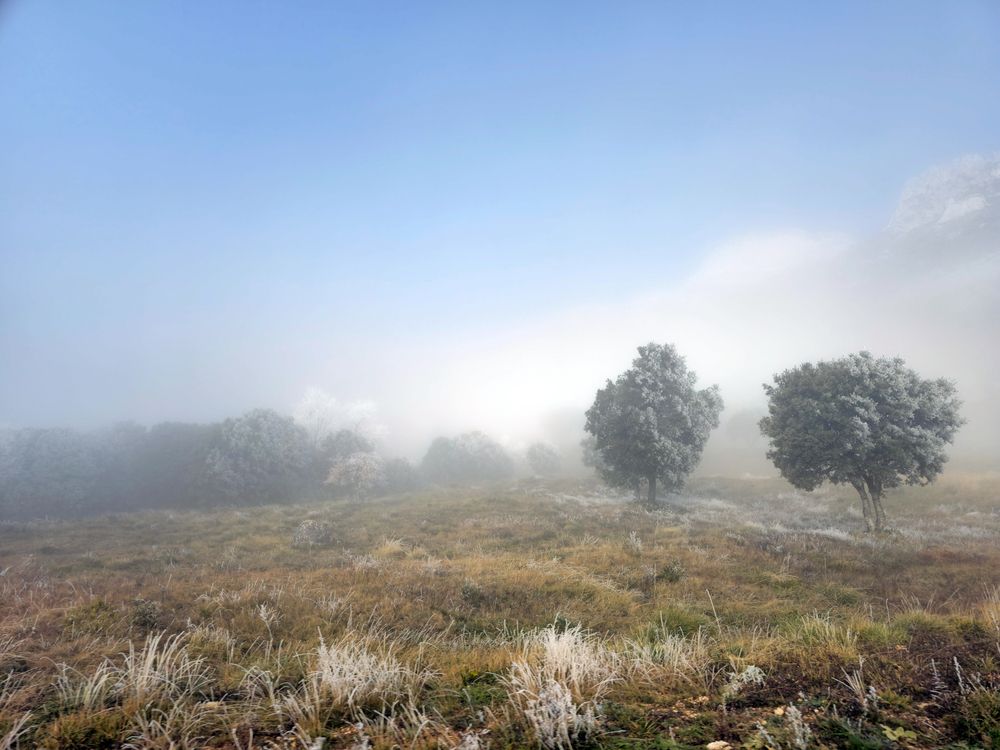 Туманное,  морозное утро