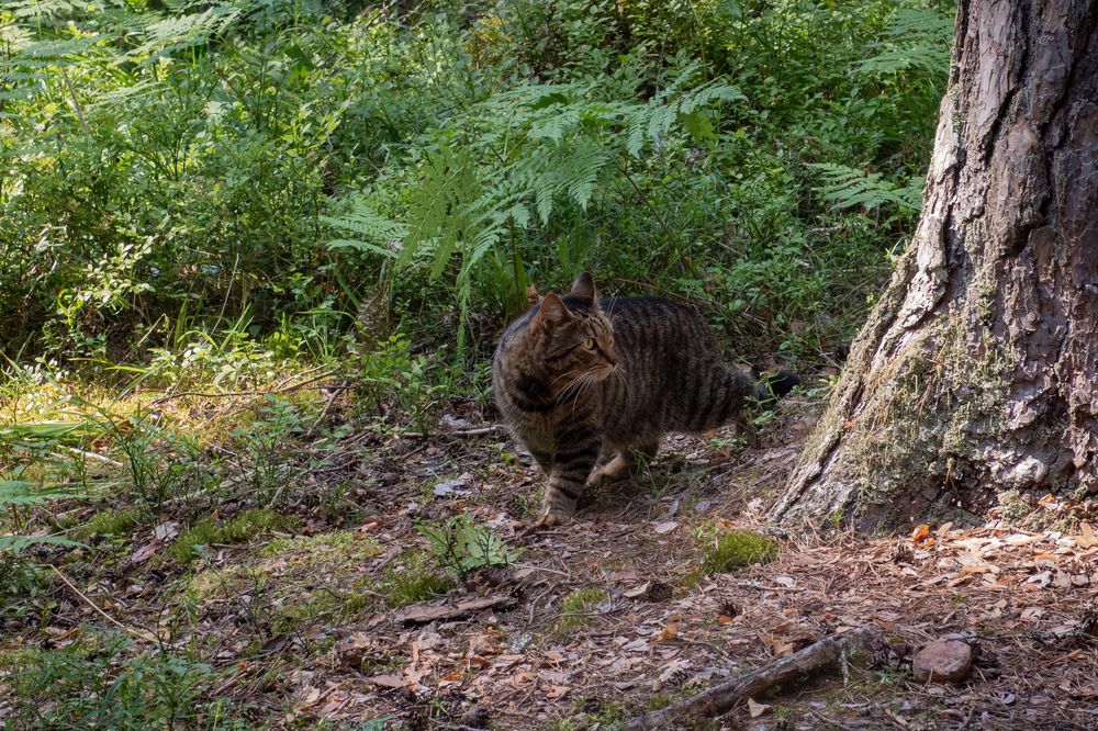 Photograph by Pavel Gukov