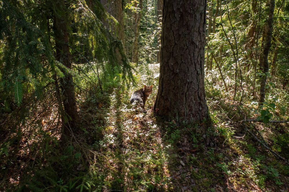 Photograph by Pavel Gukov