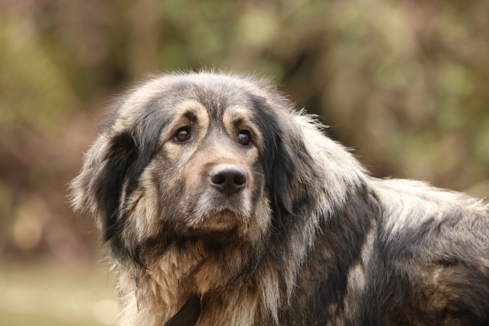 Photograph by Vania Tonova