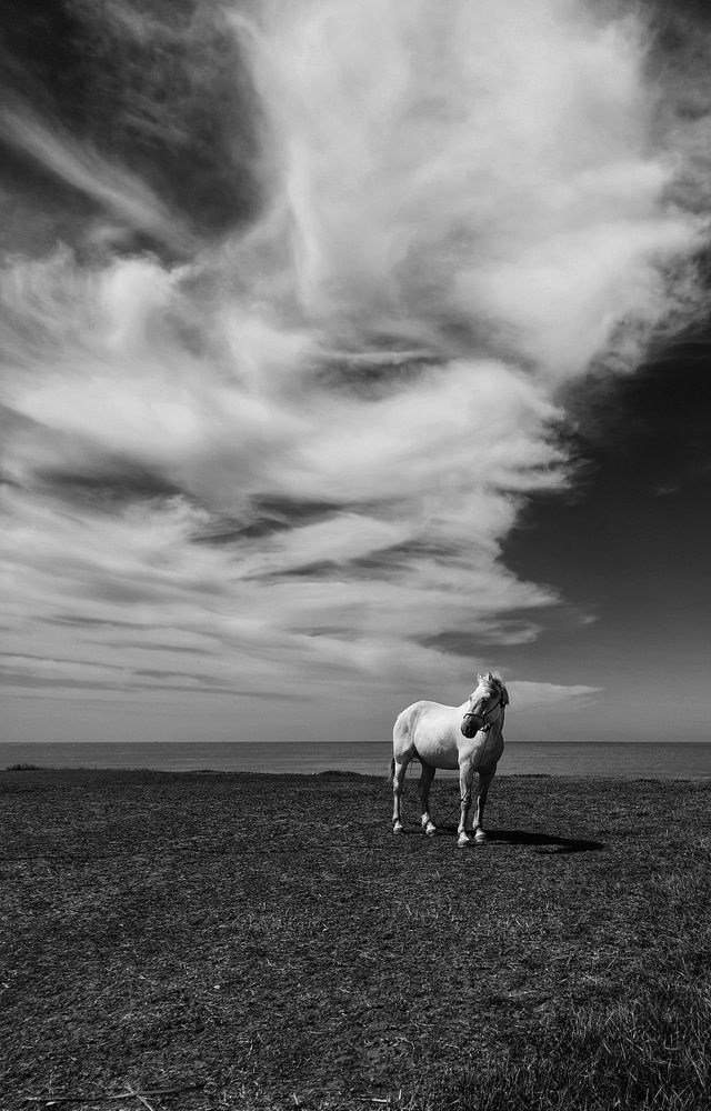 Photograph by Roberto Hagemann