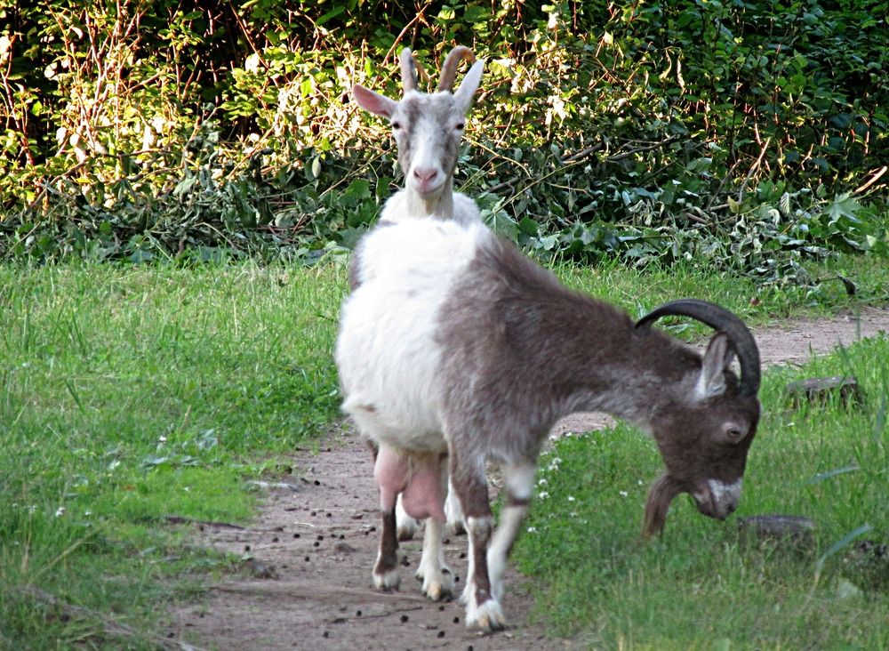 Photograph by Галина Пименова