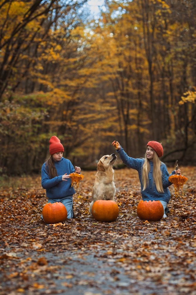 Photograph by Zuzana Zezulova