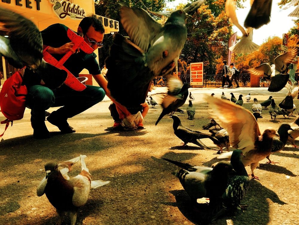 Photograph by Hvabek Kim