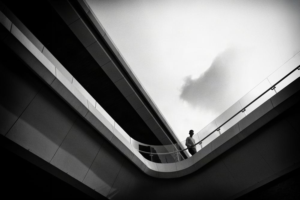 Between Lines and Light