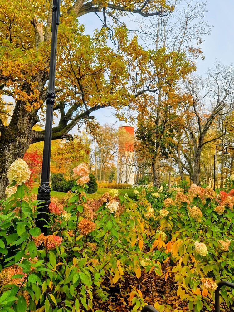 Photograph by Инна Савичева