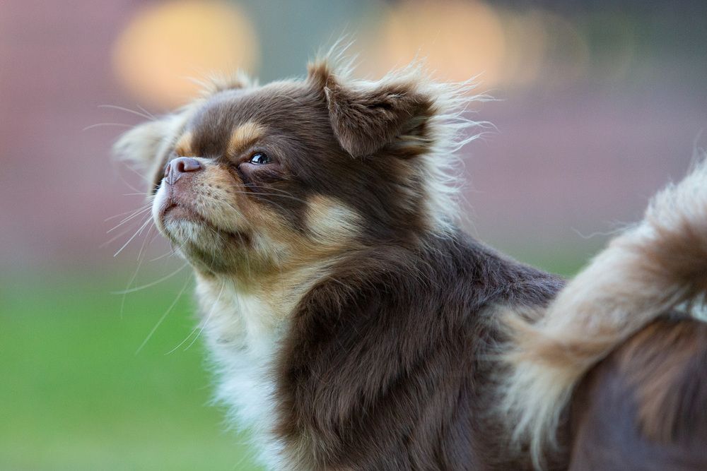 Photograph by Алексей