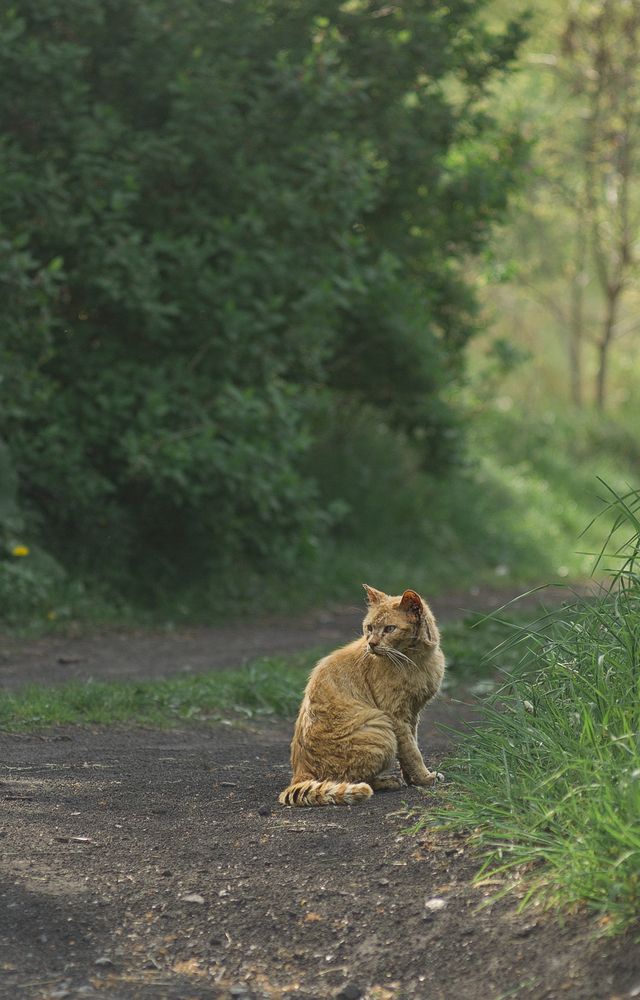 Photograph by Виктория Уварова