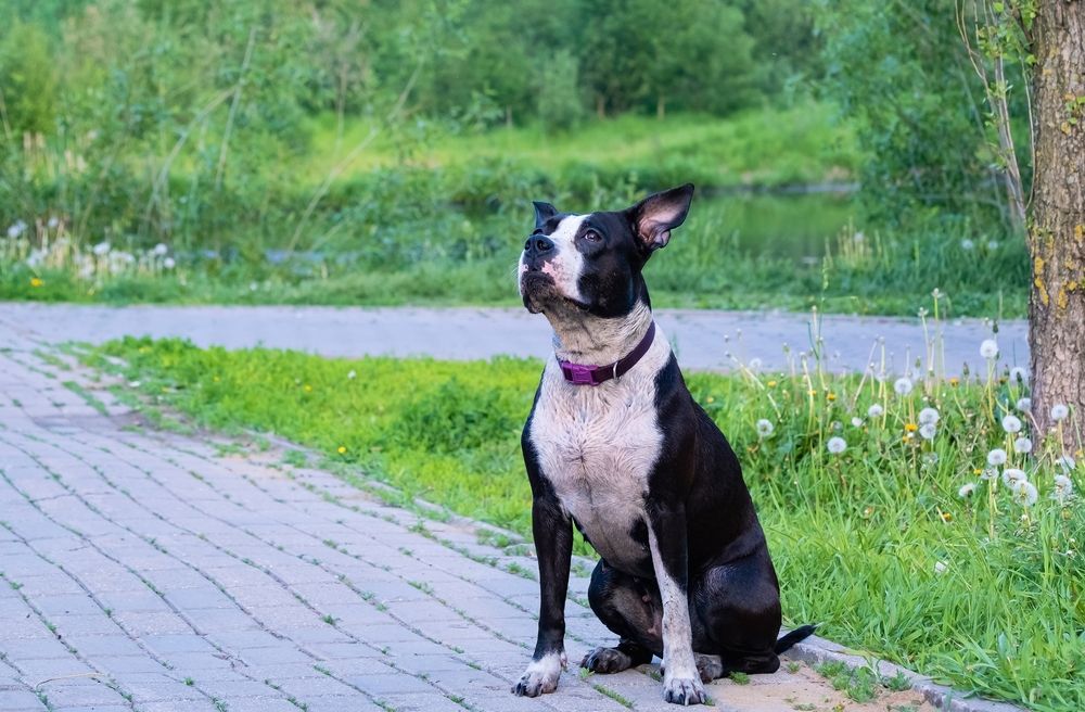 Photograph by Михаил Косолапов