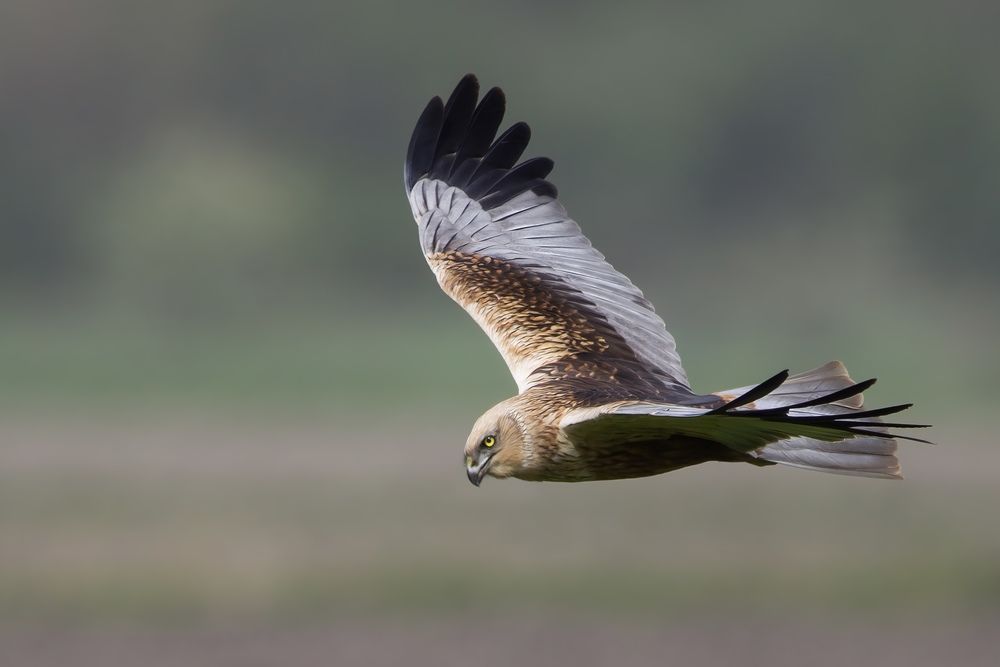 Photograph by Golemac Bruno