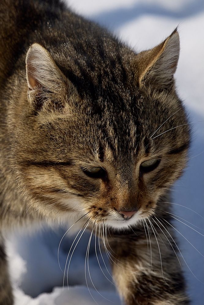 Photograph by Николай Ткач