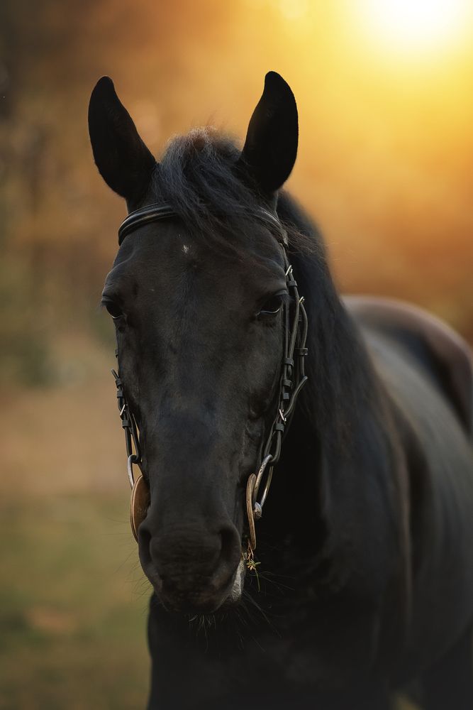 Photograph by Анна Абрамова