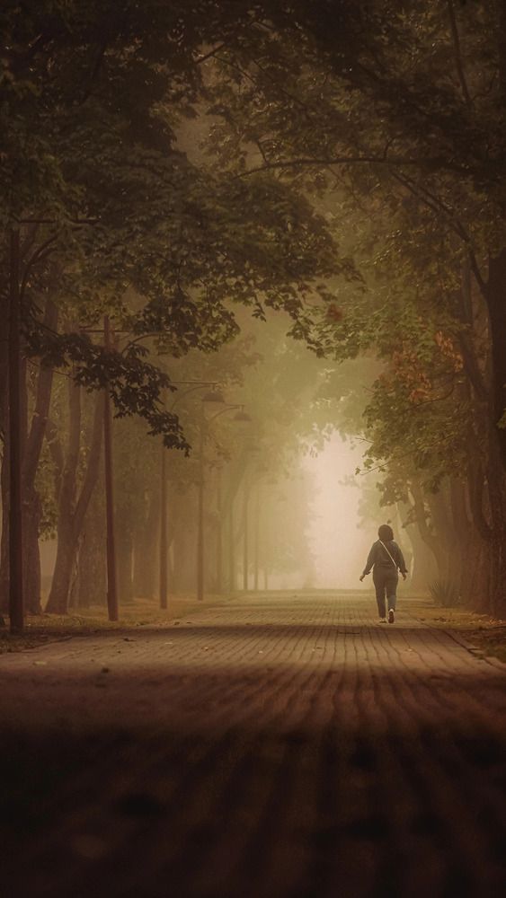 Photograph by Владимир Кульбит