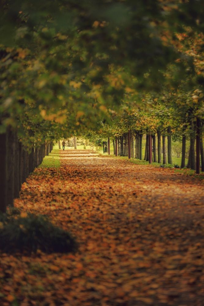 Photograph by Владимир Кульбит