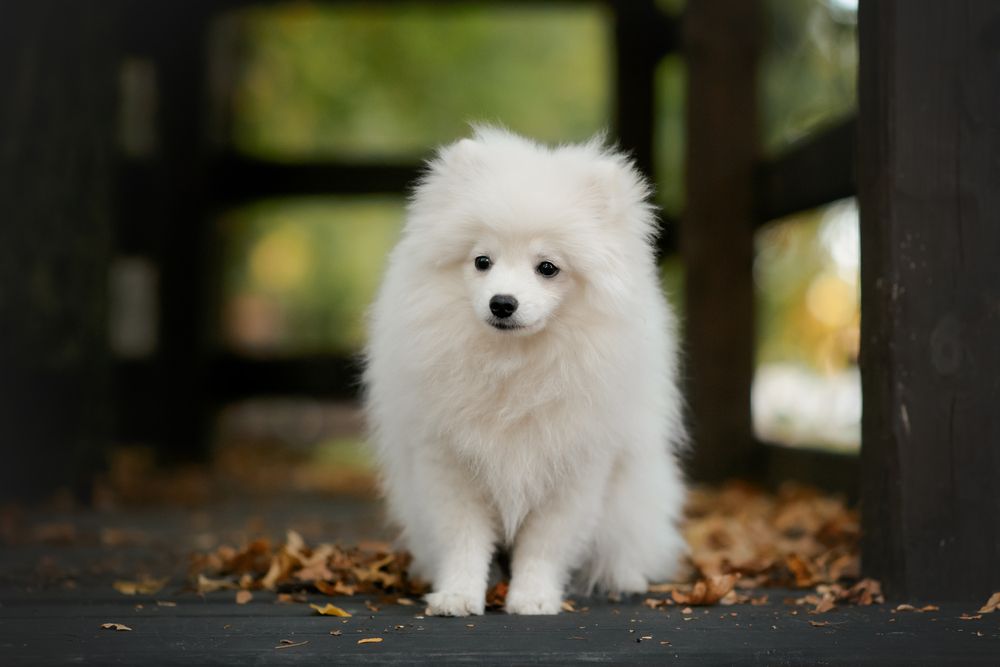 Photograph by Анна Абрамова