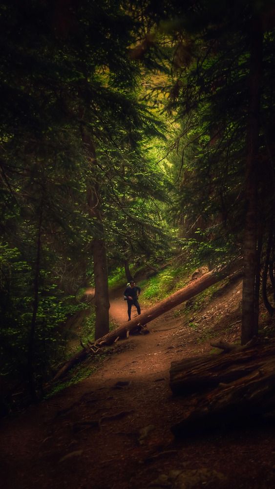 Photograph by Владимир Кульбит