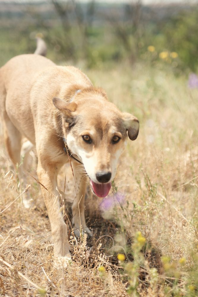 Фотография автора Ирина Сафонова