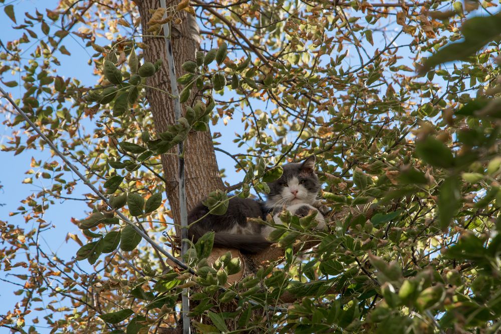 Photograph by Андрей Чуйков