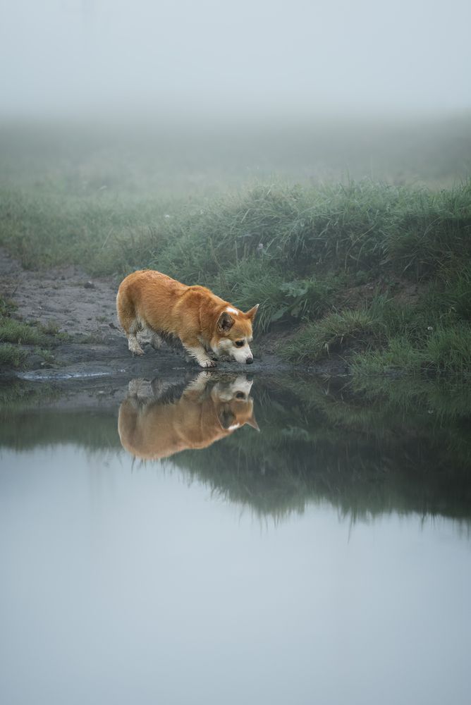 Photograph by Анна Абрамова