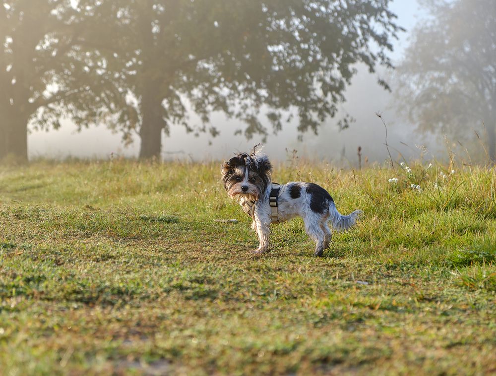 Photograph by Валерия Дурнева